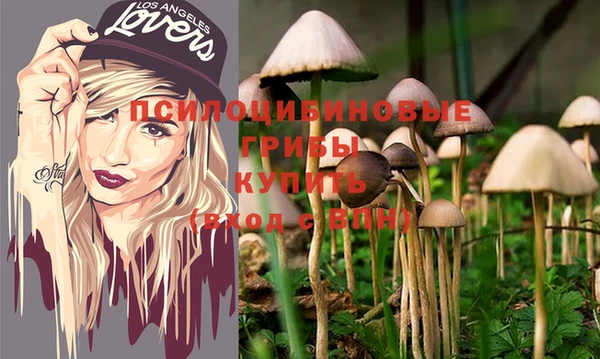 jwh Верхний Тагил